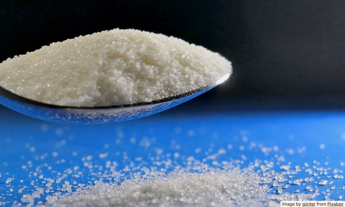 Kosher Salt vs. Sea Salt: When Does It Actually Matter?