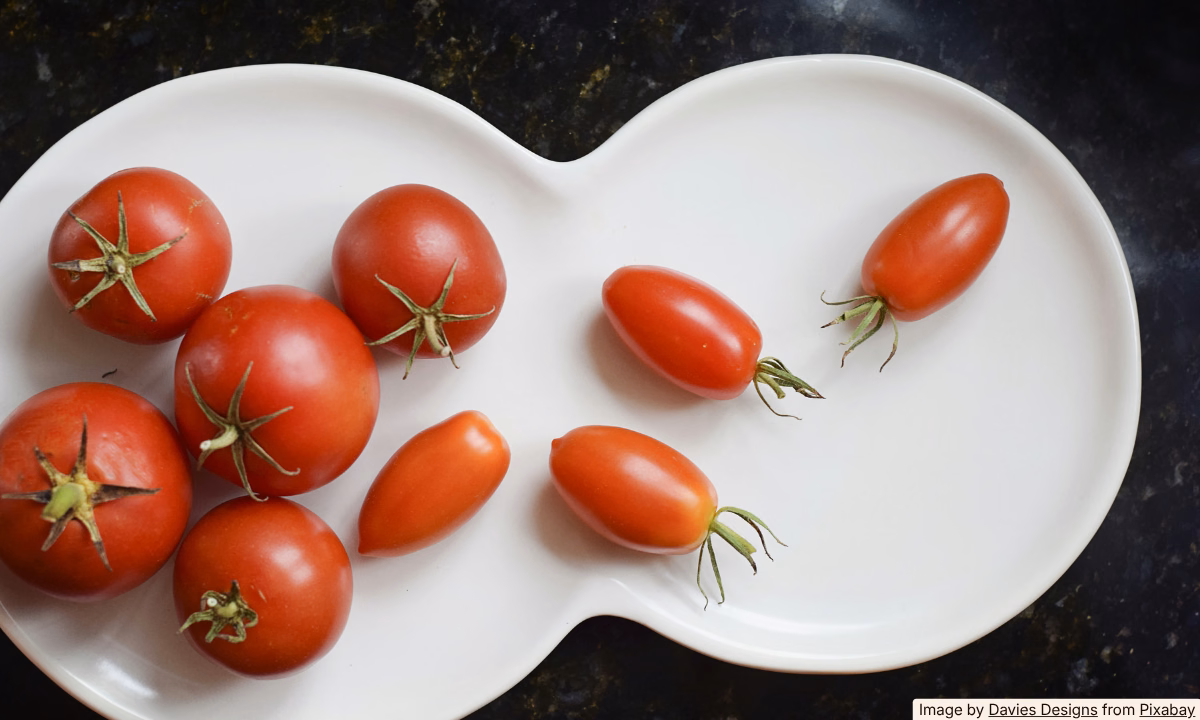 Should You Store Tomatoes in the Fridge? We Answer.