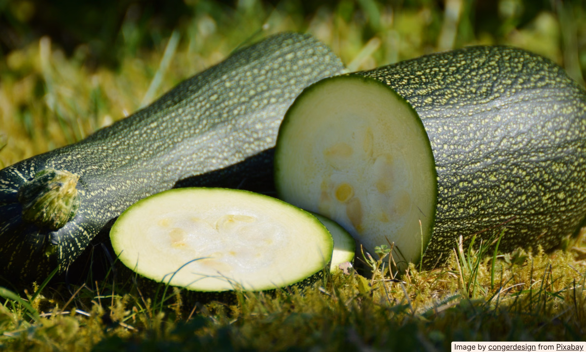 Got Too Much Zucchini? 5 Ways to Use It All Up
