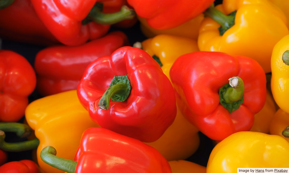 Why Your Bell Peppers Get Slimy (And How to Stop It)